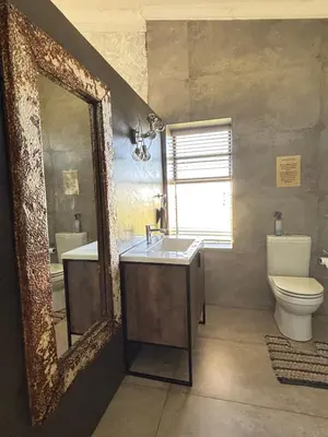 a bathroom with a mirror and a sink and a toilet at La Vista Farm Stay in Ermelo