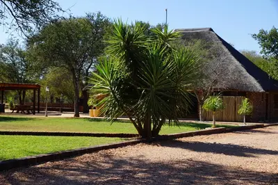 a palm tree in front of a building at Kwele Game Lodge in Beauty