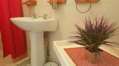 a bathroom with a sink and a potted plant at Sunshine Self Catering in Nelspruit