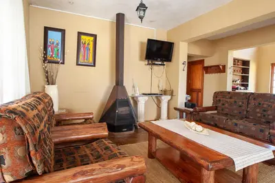 a living room with a couch and a fireplace at Gecko Castle in Dullstroom