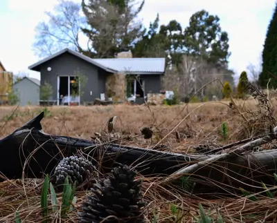 a pile of pine cones in front of a house at Salt on Dullstroom in Dullstroom
