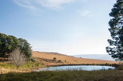 a pond in the middle of a field with trees at Waterval in Dullstroom