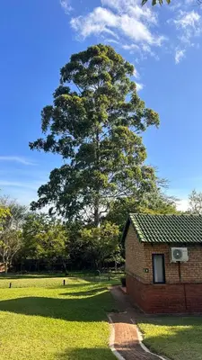 a large tree standing next to a brick building at White River Selfcatering at Greenway woods House no 9 in White River