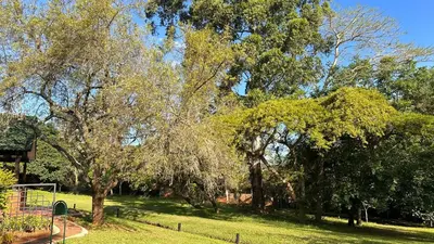 a park with trees and grass and a playground at White River Selfcatering at Greenway woods House no 9 in White River
