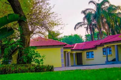 a row of houses with palm trees in the background at Maruleng Guest House in Hoedspruit