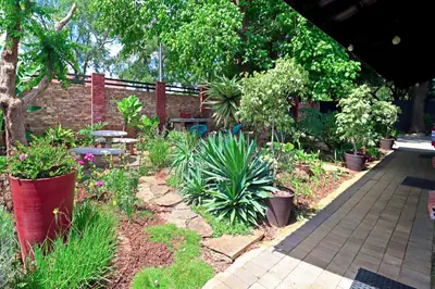 a garden with potted plants and a brick wall at The Chameleon Stay @107 in Centurion