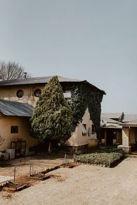 a house with a tree growing on the side of it at African Leaves Trout Lodge in Dullstroom