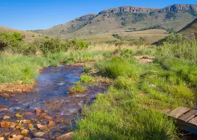 a creek in a field with a mountain in the background at Highland Run Fly Fishing Estate by Dream Resorts in Lydenburg