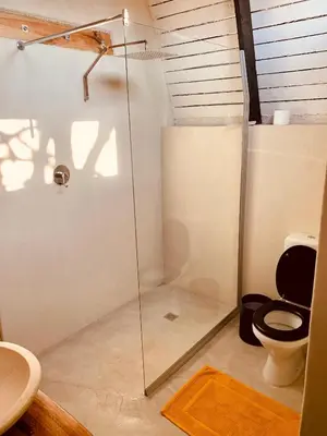 a bathroom with a shower and a toilet at Shepherds Rest in Hoedspruit