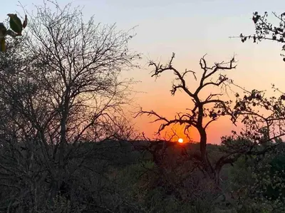 a sunset in the middle of a field with trees at Shepherds Rest in Hoedspruit