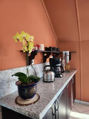 a plant in a pot on a counter in a kitchen at SOUTHY INN BY THE LAKE in Benoni