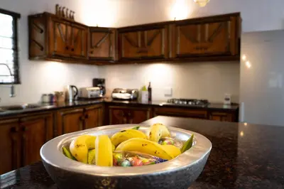 a bowl of bananas on a counter in a kitchen at Jabulani Bushhouse - Marlothpark in Marloth Park