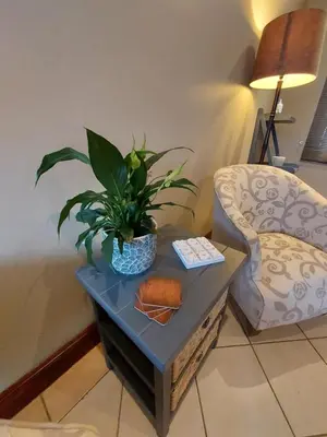 a table with a plant on it next to a couch at Private Apartment for business and leisure Pretoria East in Pretoria