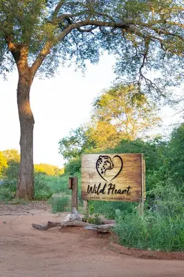a sign that reads wild heart next to a tree at Wildheart Safari - MAIN in Hoedspruit