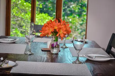 Gallery image of Avoca Vale Country Hotel in Louis Trichardt