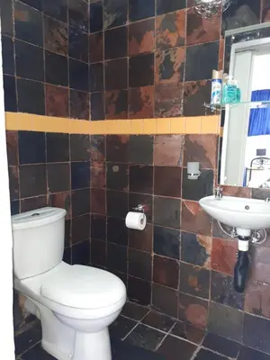 a bathroom with a toilet and a sink at 13th Avenue Guesthouse Benoni in Benoni