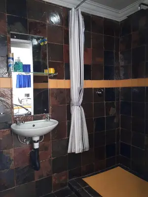 a bathroom with a sink and a shower curtain at 13th Avenue Guesthouse Benoni in Benoni