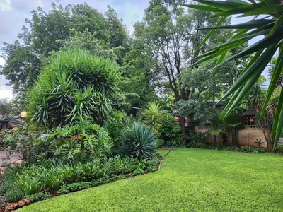 a garden with lush green plants and trees at Tree Aloe Guest House in Mokopane