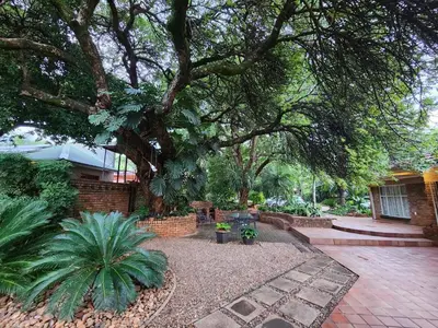 a garden with a large tree and a brick wall at Tree Aloe Guest House in Mokopane
