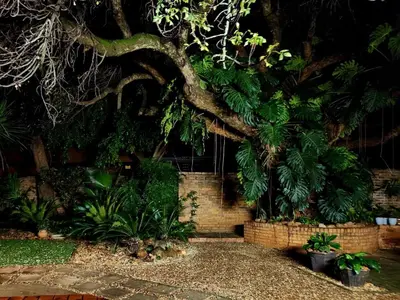 a garden with a tree and some plants at Tree Aloe Guest House in Mokopane