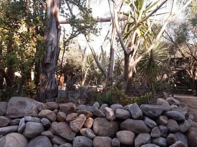 a pile of rocks in front of a tree at African Sky Bush Camp in Rabelaisruskamp