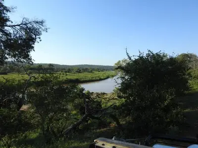 a view of a river from a field with trees at Balule Bushveld Safari Lodge in Phalaborwa