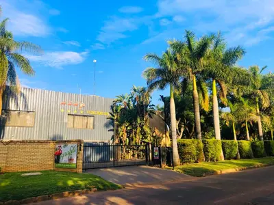 a building with palm trees next to a street at Grafiti Boutique Hotel in Bela-Bela