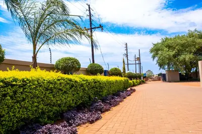 a sidewalk with a row of bushes and trees at Lempitse Lodge in Moletlane