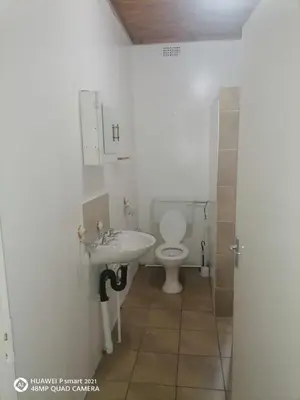 a bathroom with a toilet and a sink at Ingwenya Guesthouse in Ermelo