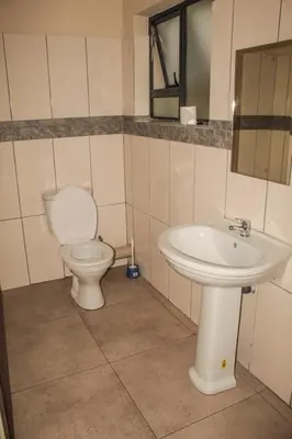 a bathroom with a toilet and a sink at Ingwenya Guesthouse in Ermelo