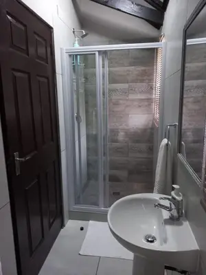 a bathroom with a sink and a glass shower at SnL Guesthouse at Visarend in Malelane