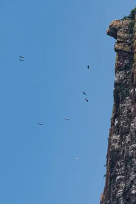 a tall tower with two birds flying in the sky at Cape Vulture Lodge in Hoedspruit