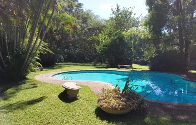 a small swimming pool in a yard with a plant at Crocodile Nest B&B in Nelspruit