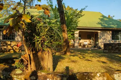a tree stump in front of a house at Mackers Self Catering Cottages in Hazyview