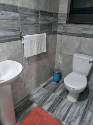 a bathroom with a white toilet and a sink at Ribeng la Noka Conference and Leisure Center in Ga-Ramokadi-kadi