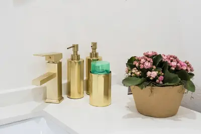 a bathroom sink with three fire hydrants and a plant at Willow Cottage in Dullstroom