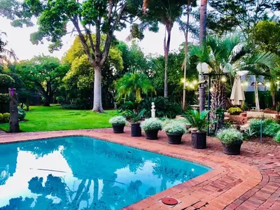 a swimming pool in a yard with potted plants at Forty 4 On Hoog in Polokwane