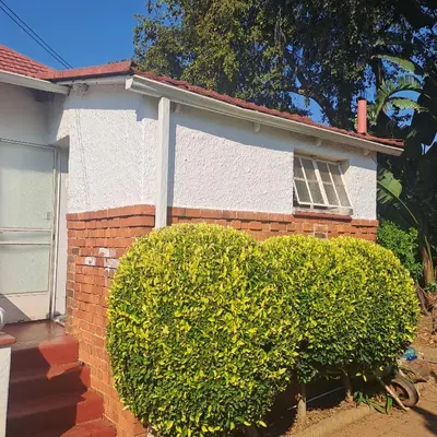 a heart shaped bush in front of a house at Moonlight Guesthouse in Pretoria