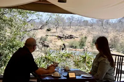a man and woman sitting at a table looking at a herd of elephants at MILIMA Big 5 Safari Lodge in Hoedspruit