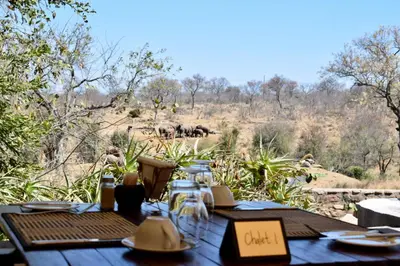 a table with a view of an elephant in the distance at MILIMA Big 5 Safari Lodge in Hoedspruit