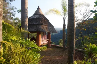 a gazebo in a forest with palm trees at Timamoon Lodge in Hazyview