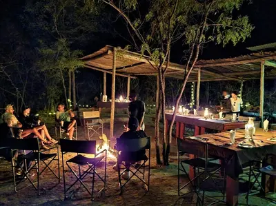 a group of people sitting around a fire at night at The Wild Olive Tree Camp in Manyeleti Game Reserve