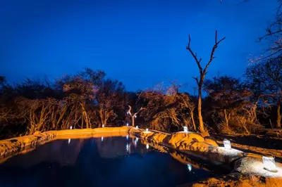 a pool of water at night with trees in the background at Baluleni Safari Lodge in Grietjie Nature Reserve