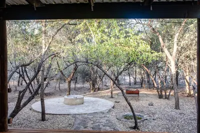 a window view of a park with a bench and trees at Gemsbok Place in Marloth Park