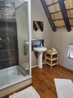 a bathroom with a shower and a sink at Larima Bush Retreat in Hoedspruit
