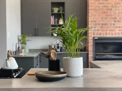 a kitchen counter with a vase with a plant on it at The Big Easy Rest at Highland Gate Golf & Trout in Dullstroom