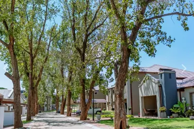 a row of trees in front of houses at Serene Luxury retreat in Cullinan in Cullinan