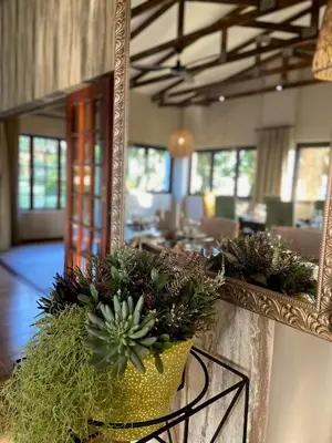 a mirror and a potted plant in a room at Nut Grove Boutique Hotel in White River