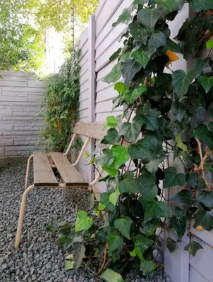 a wooden chair sitting next to a building with a bush at Greystoke - Furnished, self service apartment. in Springs