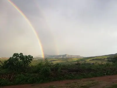 a rainbow in the middle of a field at Wellstead Country Manor in Haenertsburg